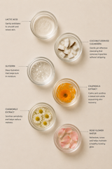 Botanical Foam Cleanser