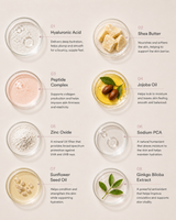 The Anti-Ageing Routine