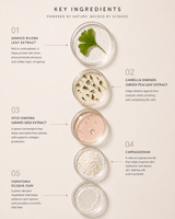 Antioxidant Ginkgo Gel Booster - barely skin
