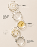 Ceramide Barrier Night Repair Cream - barely skin
