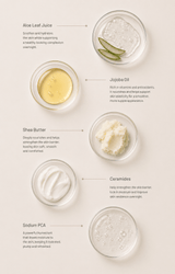 Collagen Night Repair Cream - barely skin